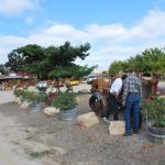cambria2012_0027 (November 02, 2012)